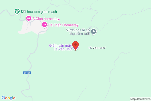 Chu Van Tri