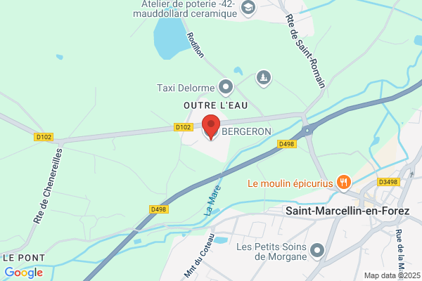 Bergeron Leon