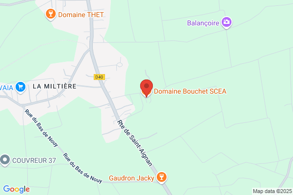 Bouchet Mauvignier Chambeaudie Scm