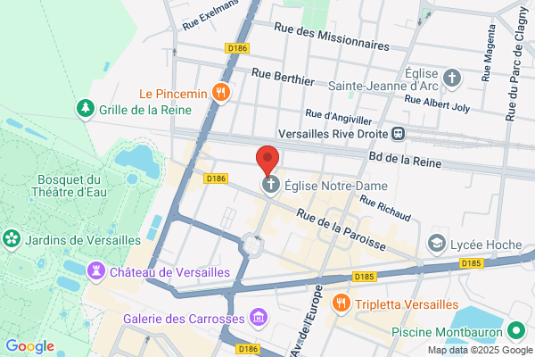 Artemis Clinique Veterinaire