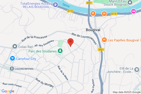Aces Environnement Developpement
