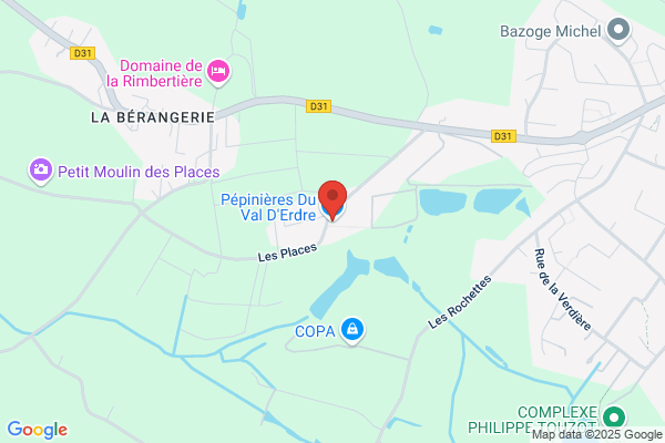 Caumont Eric