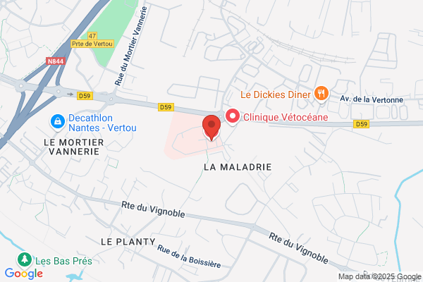 Hopital Local De Vertou Standard