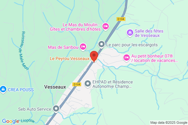 BAR RESTAURANT LE PEYROU