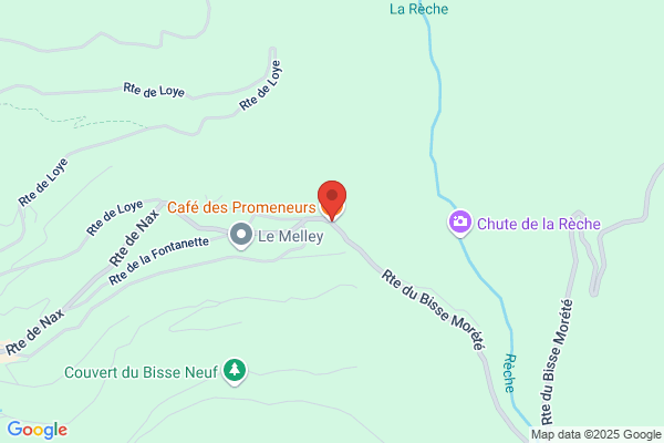 Cafe Des Promeneurs