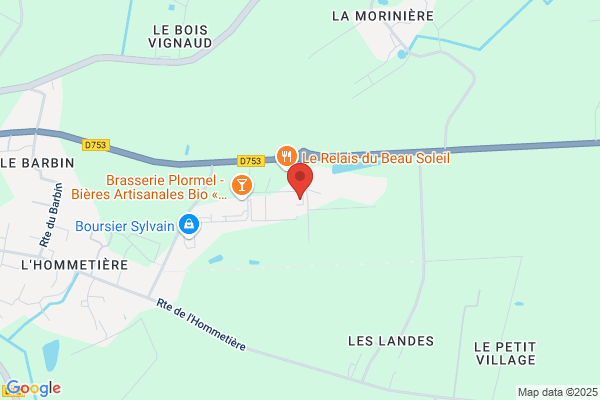 Autovision Auto Bilan Vieillevigne Adherent