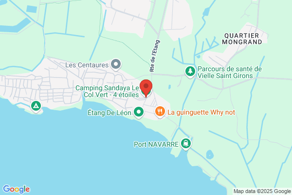 Camping Du Col Vert Les Palmiers Du Lac