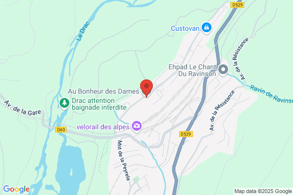 AU BONHEUR DES DAMES