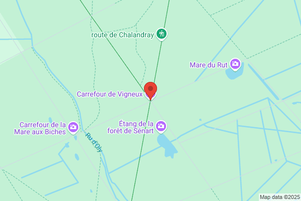 Carrefour Standard