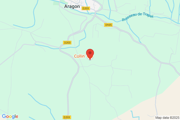 Collin'