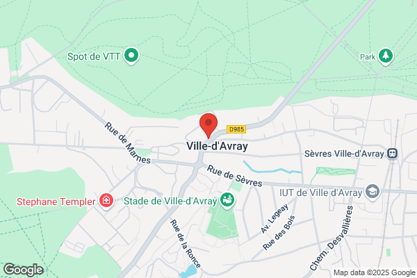 Nicolas Ville d'Avray