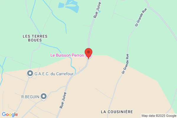 Manoir du Buisson Perron - A.TARRADE