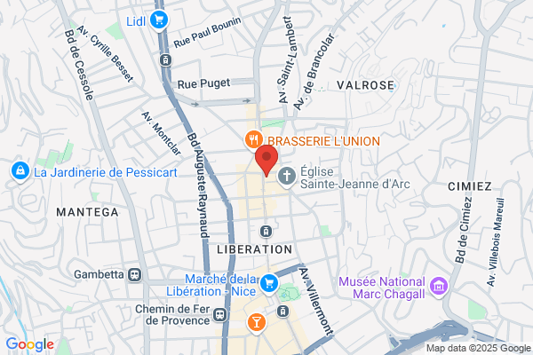 GMF Assurances NICE BORRIGLIONE
