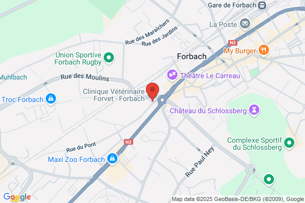 Clinique Veterinaire
