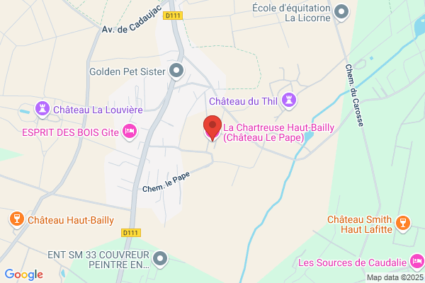 Chateau Le Pape Scea