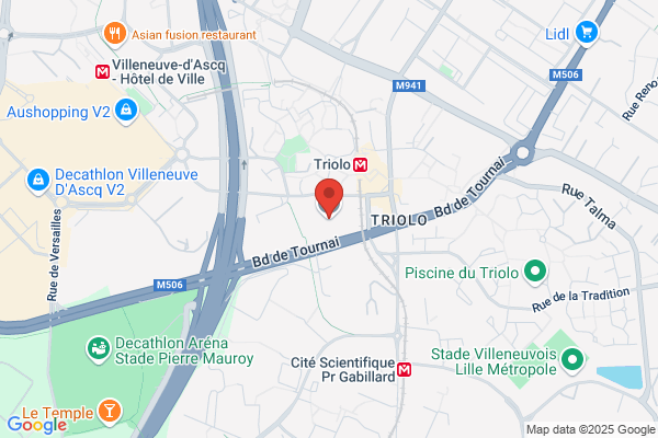 College Nationalise Du Triolo