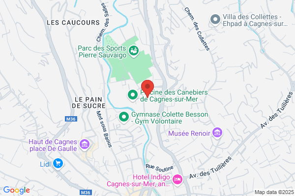 Ecoles Prescolaires Ecole Auguste Renoir