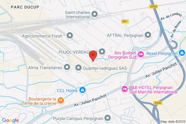 Consortium Des Transports Perpignanais