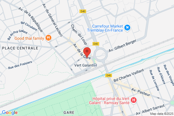 Hotel Vert Galant