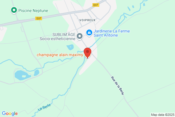 Champagne Alain Maximy