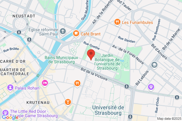 Ecole Primaire Psychologie Medicale