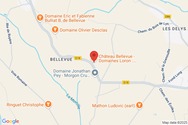 Chateau De Bellevue Scev