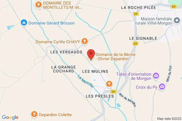 Depardon Olivier