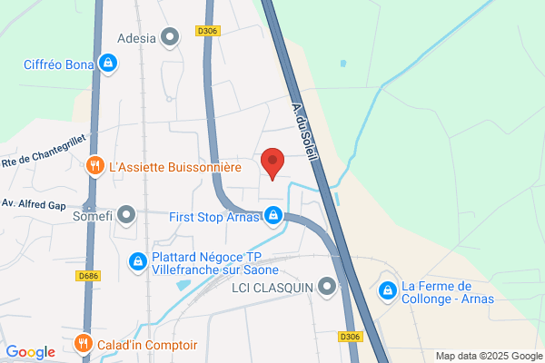 Desbois Vincent Platrier