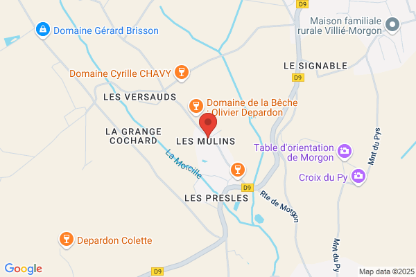 Domaine Du Poullet