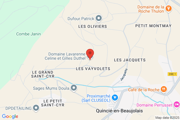 Domaine Duthel