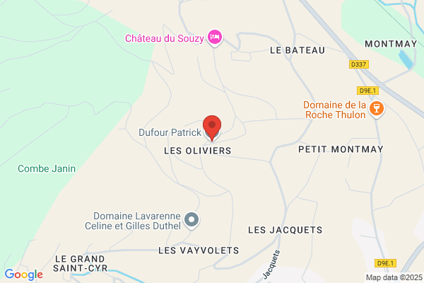 Dufournet Guy