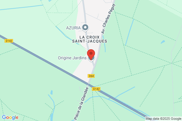 AVENIR DE L'ARBRE
