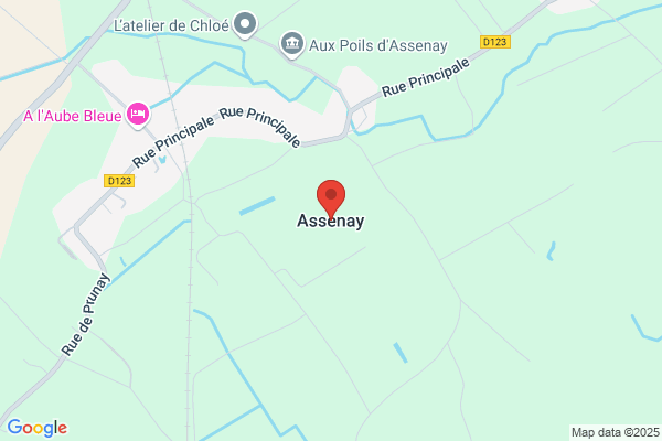 Assena