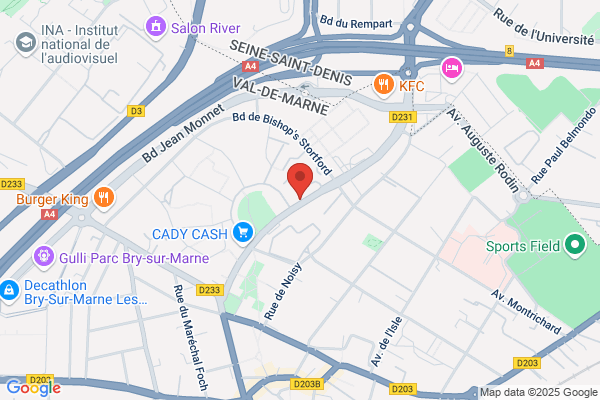 Consel France