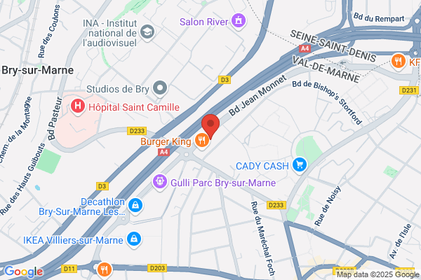Iiyama France