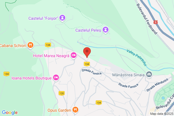 Amitie Sinaia