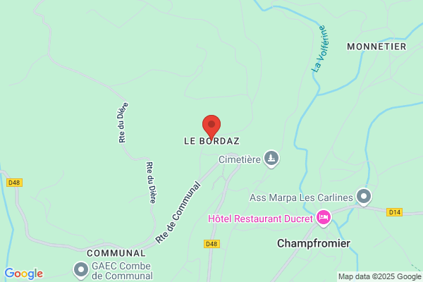 Bordaz Scm