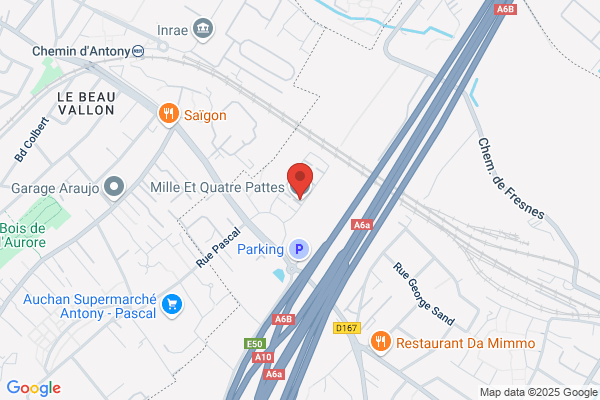 Aux Quat Pattes Qui Moussent