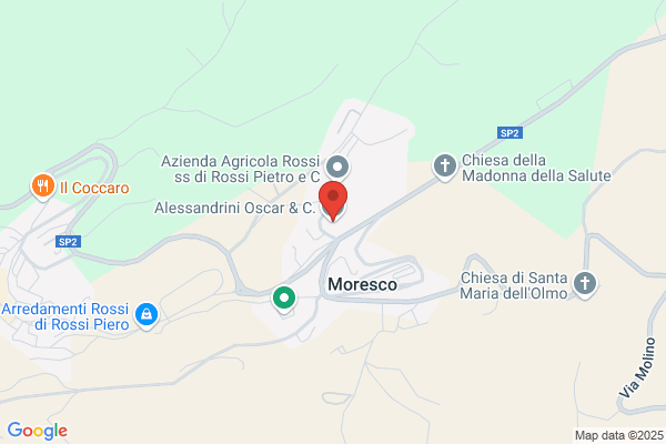 Alessandrini Rose