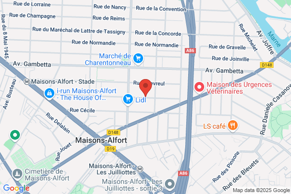 Ascenseur Securite Conseil