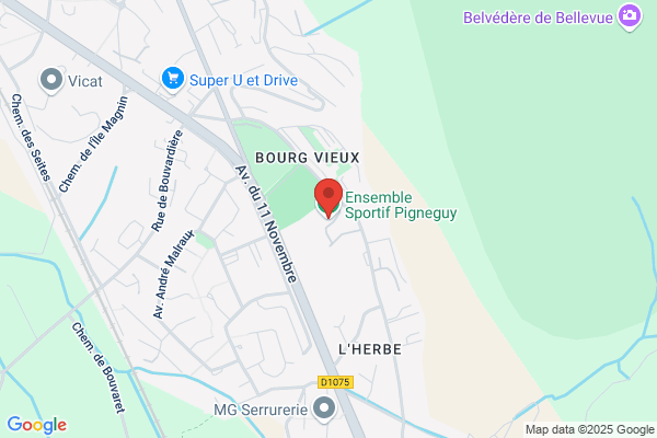 Bozon Verduraz C