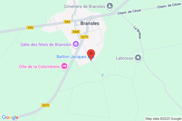 Baillon Jacques