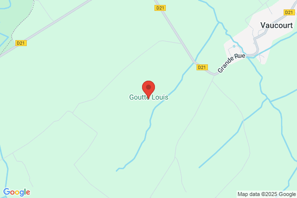 Gouttenegre Jean Louis