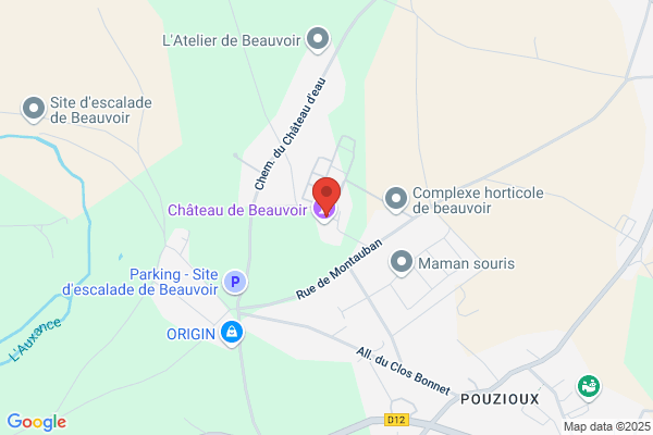 Chateau De Beauvoir Centre Aere