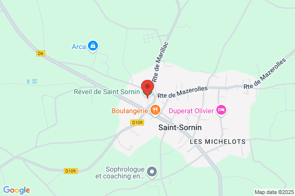 Réveil de saint-sornin basketball