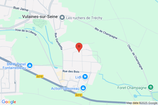 Campine