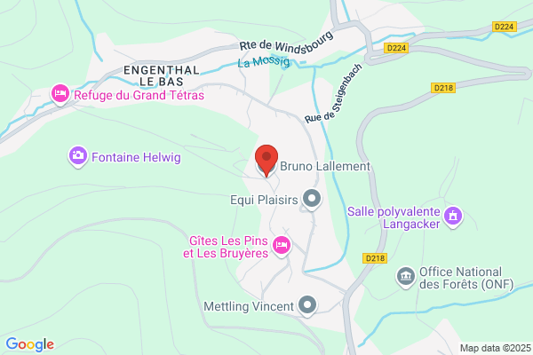 Bruno Lallement