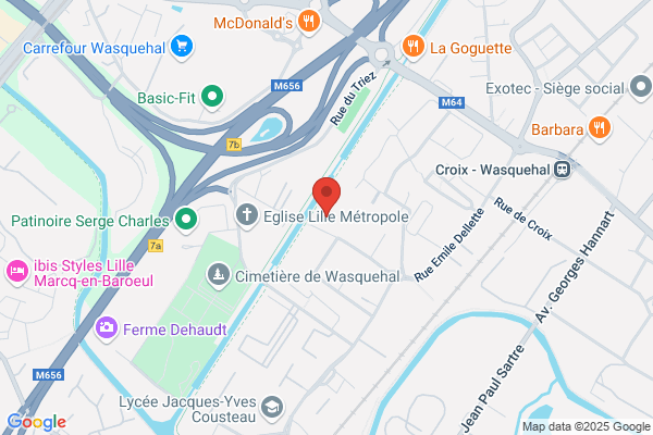 Comite Des Flandres De Gymnastique