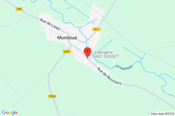 Gosset Patrice