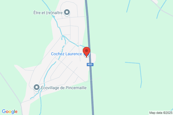 Cochez Laurence